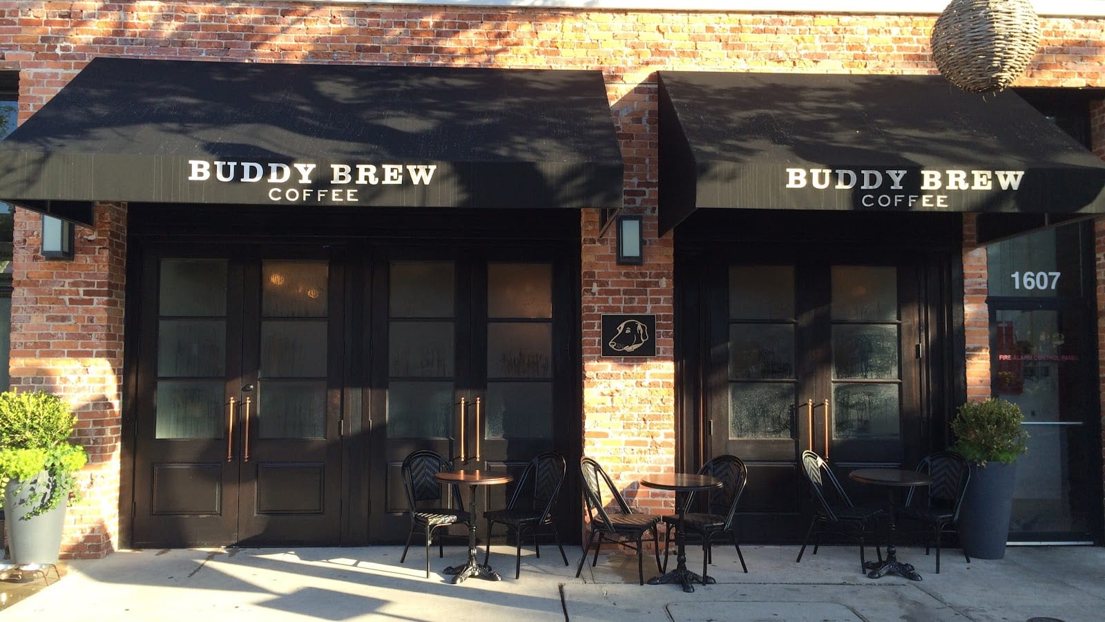 Buddy Brew Coffee, photo 2