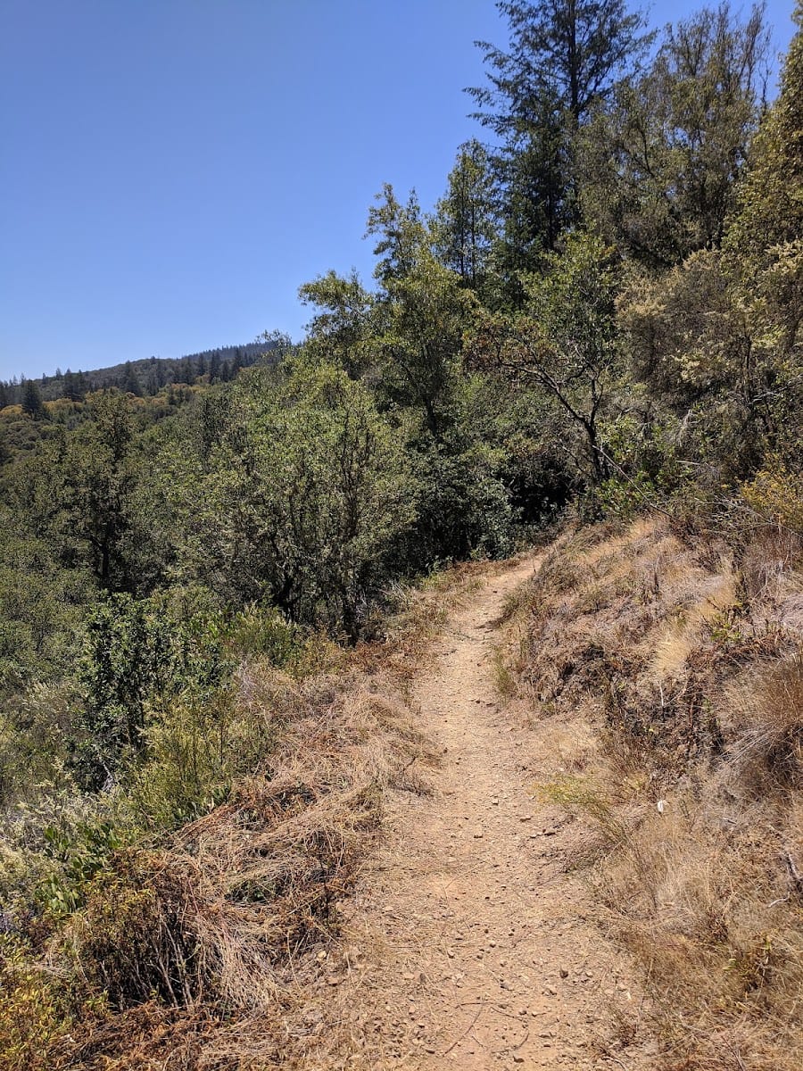 Las Posadas State Forest