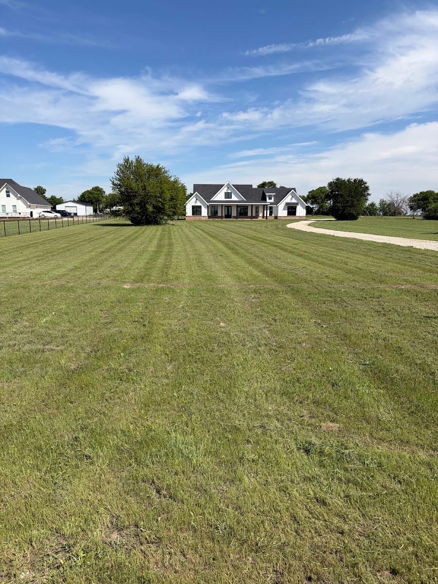 Platinum Landscape, photo 2