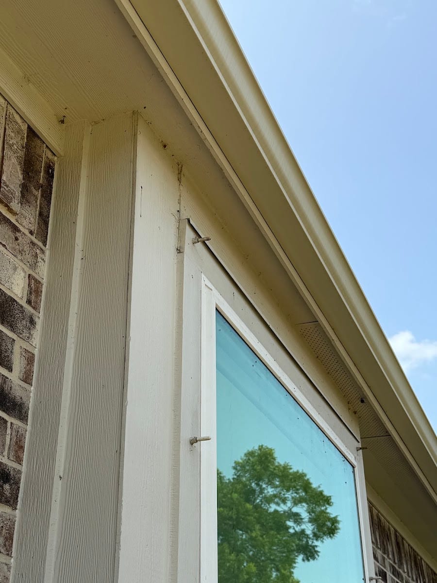 BRD Pest Solutions, photo 2
