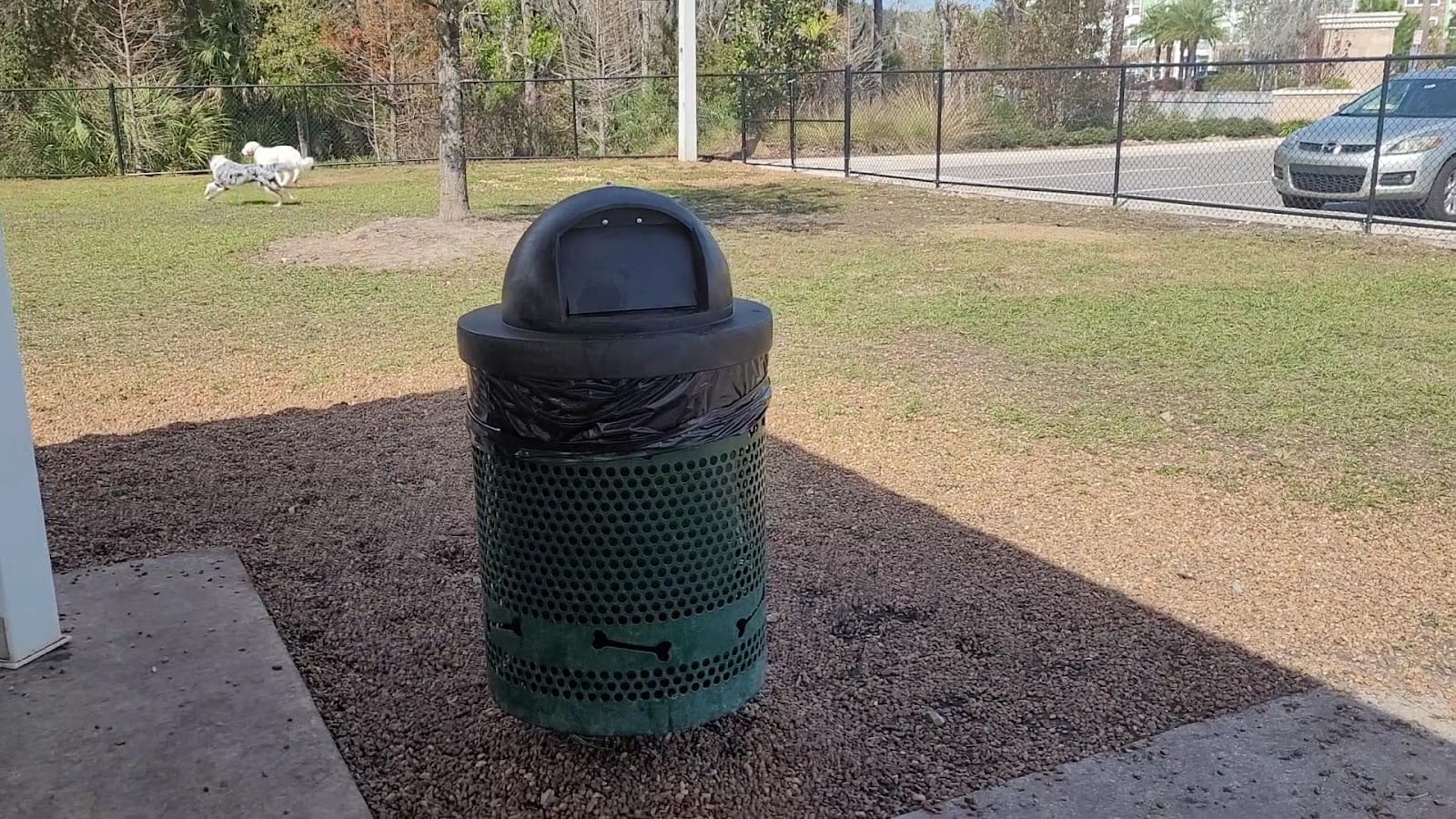 New Tampa Dog Park, photo 3