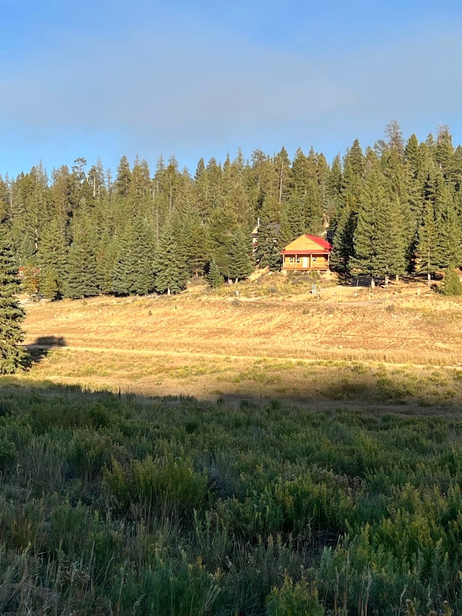 Michelle Jorgenson, Realtor, photo 3