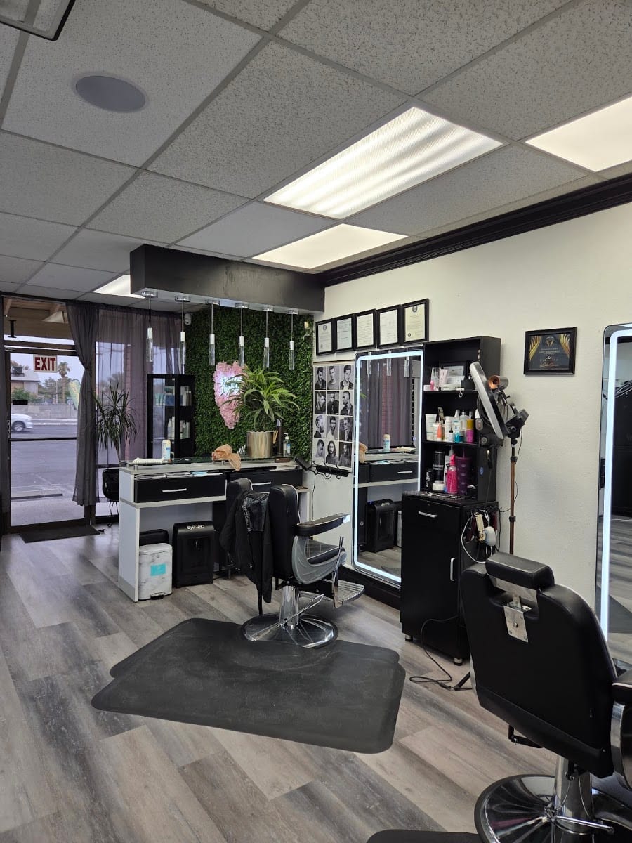 Picasso's Beauty Salon