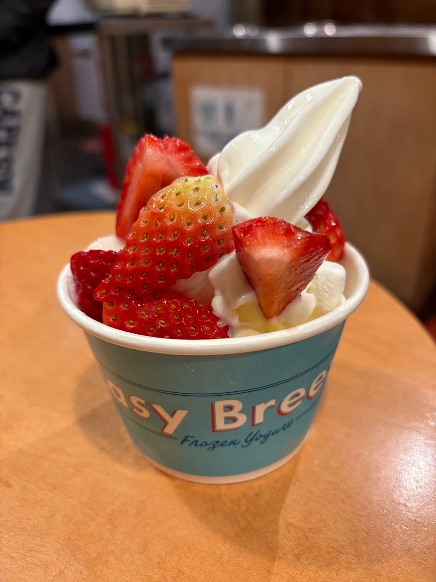 Easy Breezy Frozen Yogurt