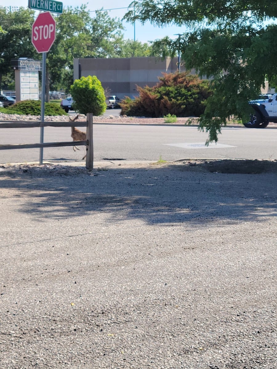 Cottonwood Park
