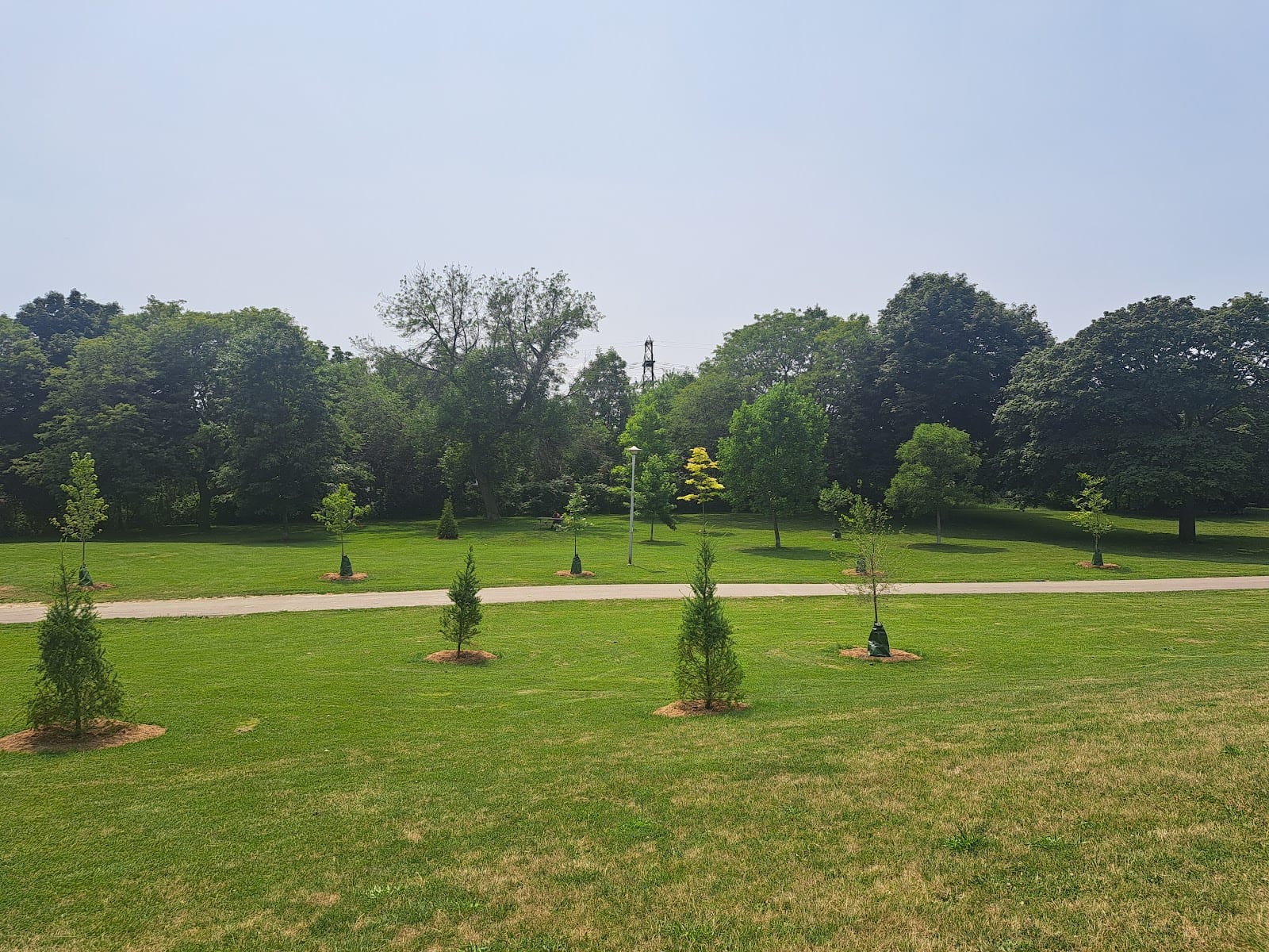 Earlscourt Park Dogs Off-Leash Area