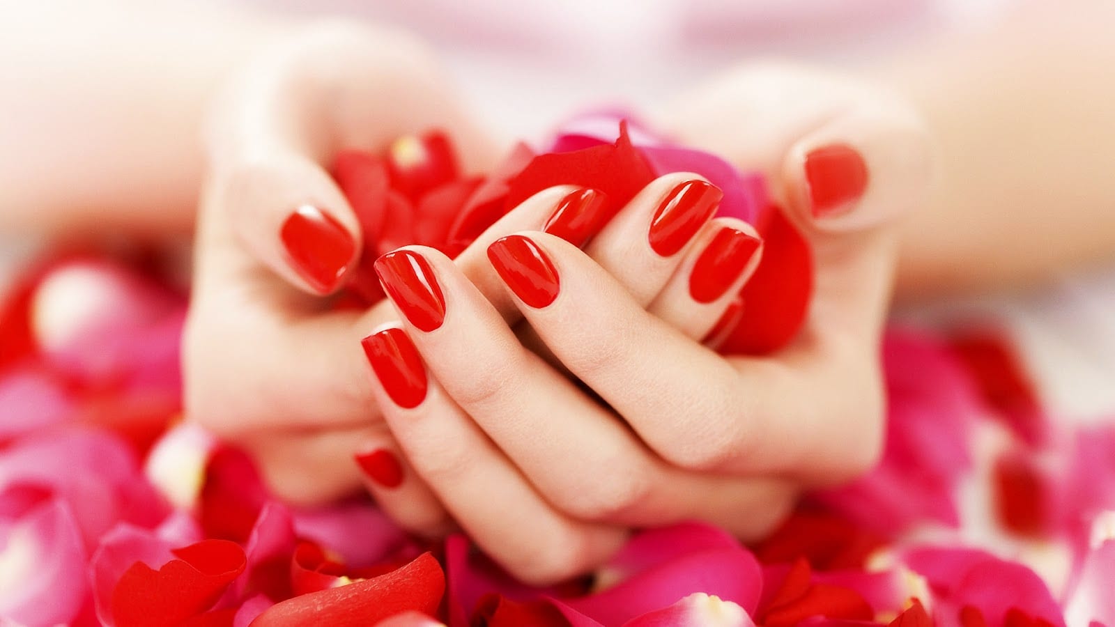 Paulene's Nails 6929 N Hayden Rd