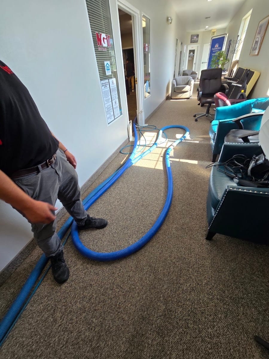 T-Bird Carpet Care, photo 4