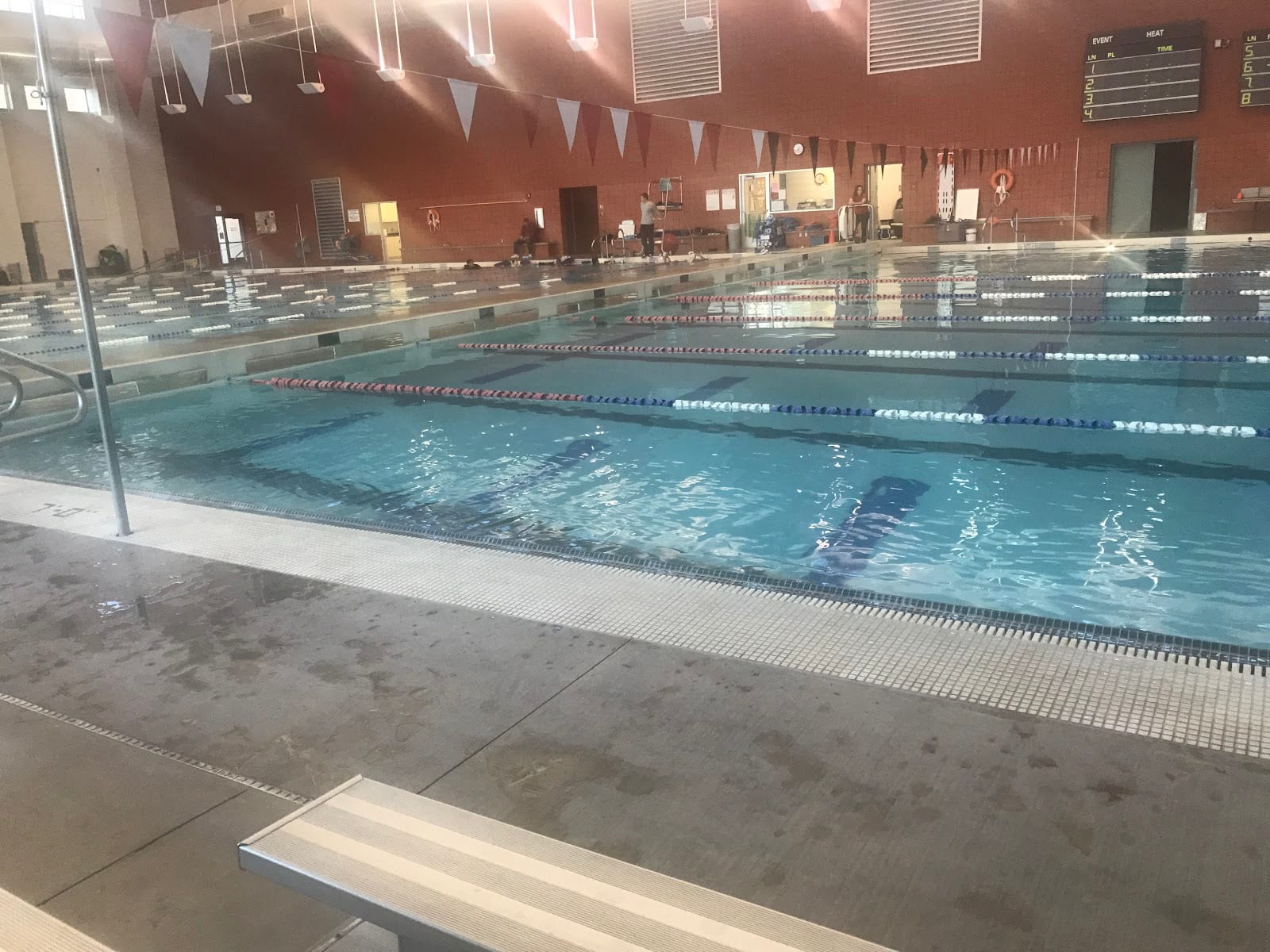 Little Sharks Swim Academy LLC, photo 2