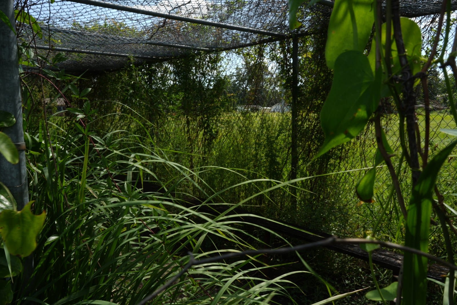 Harmon Park, photo 2