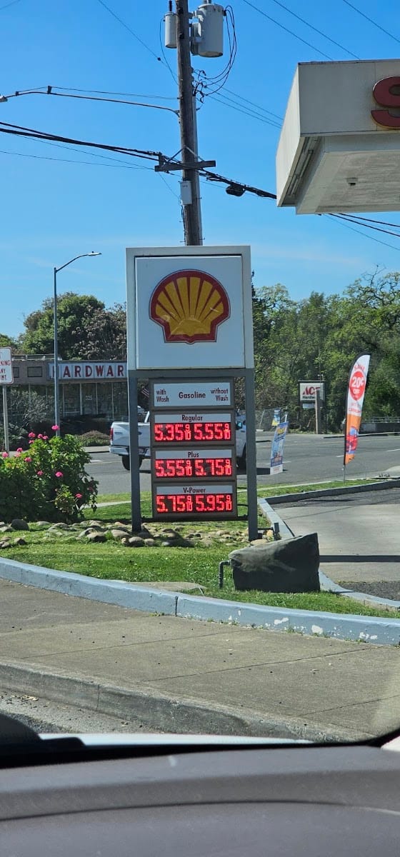 Shell, photo 3