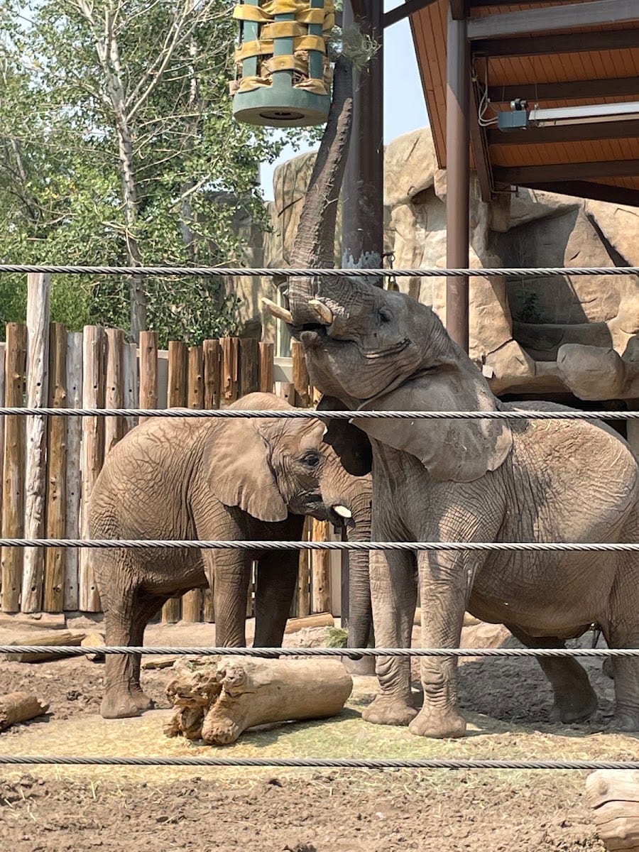 Utah's Hogle Zoo, photo 3