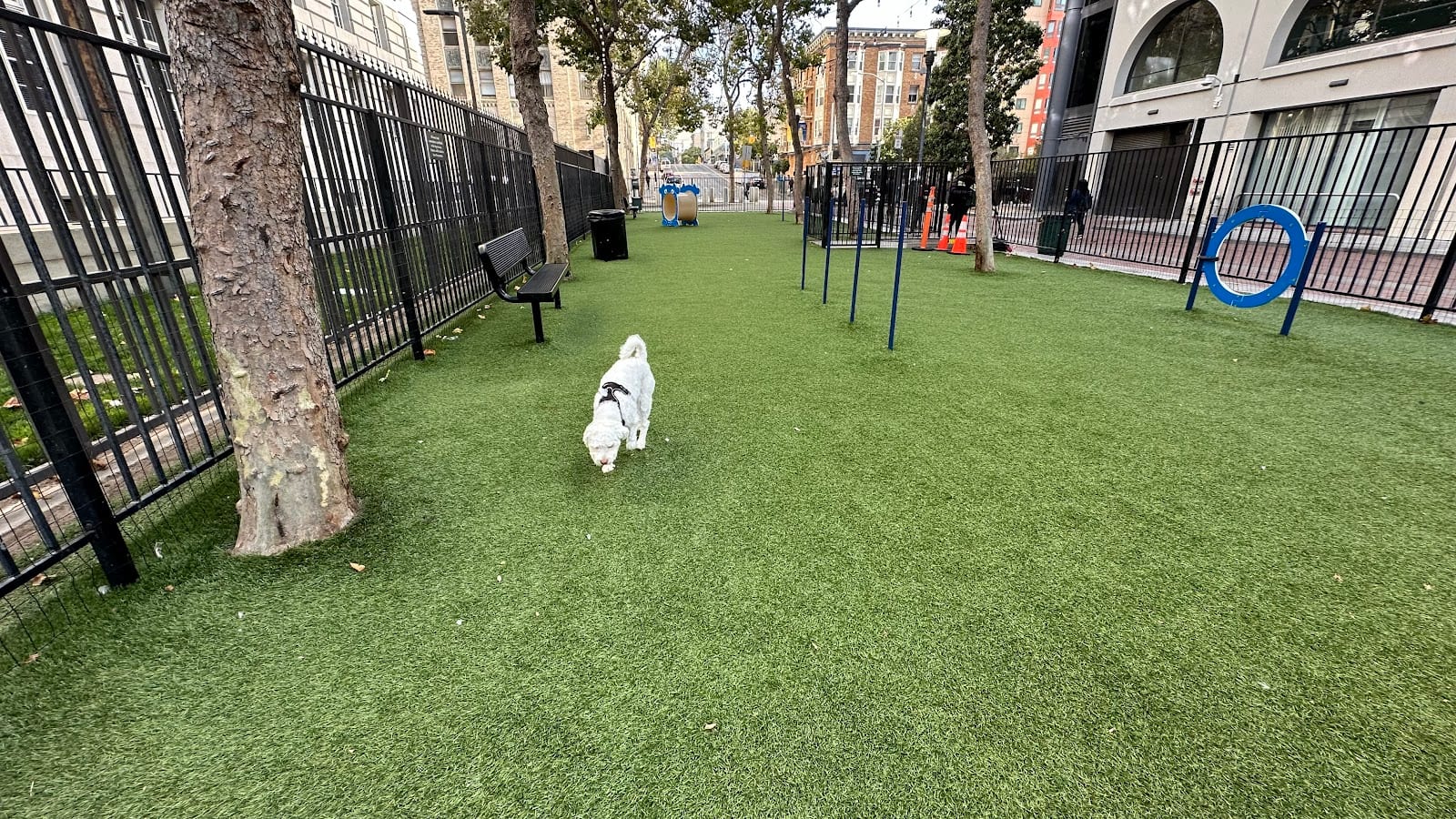 U.N. Plaza Dog Park
