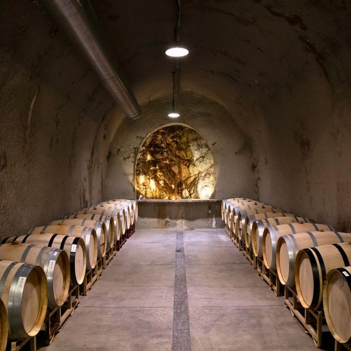 Baldacci Family Vineyards