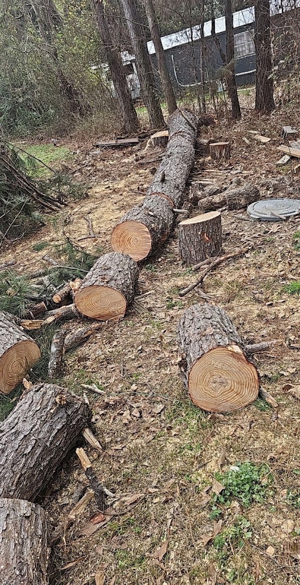 O'Connor Clearing & Hauling, LLC, photo 3