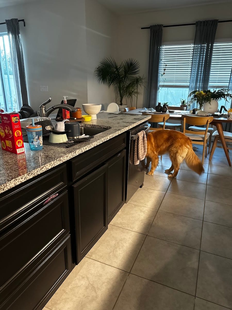 RiteRug Flooring & Carpet - Tampa
