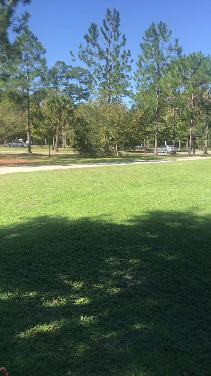 Moccasin Slough Park, photo 2
