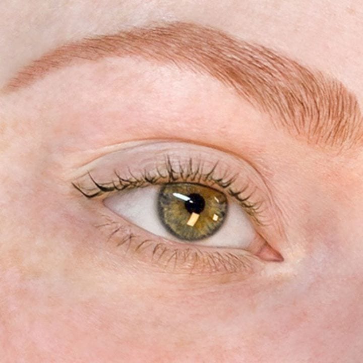The Lash Lounge, photo 4