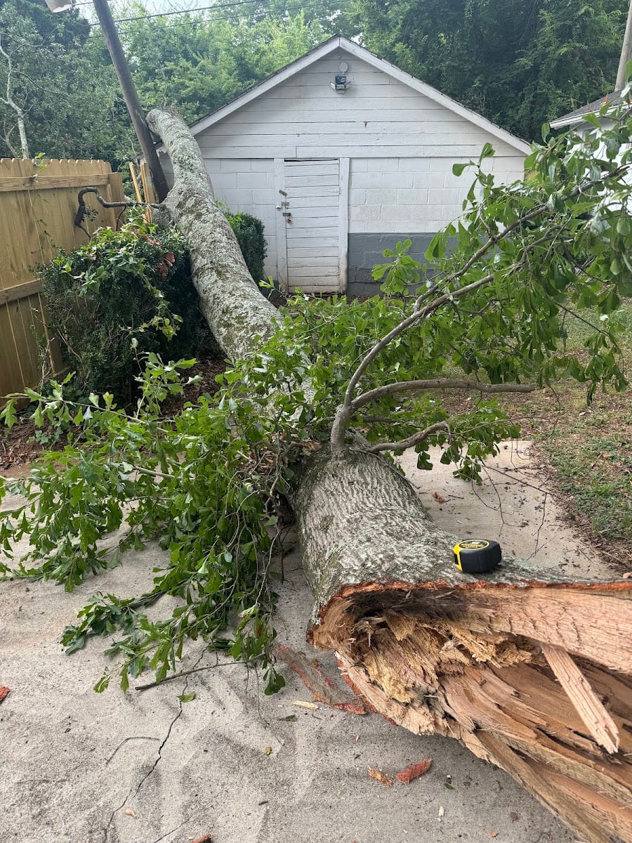 Googe Tree Service and Design, photo 4