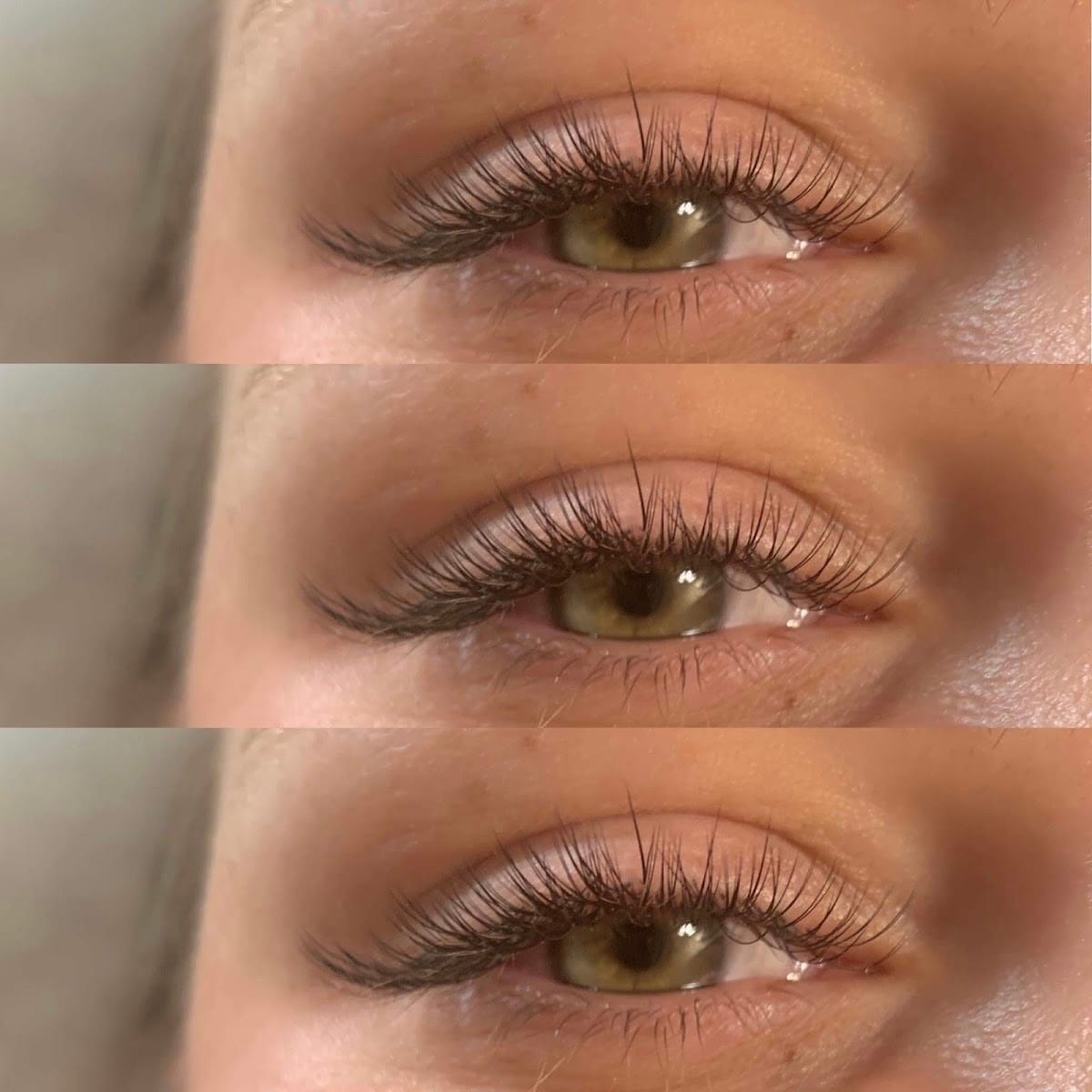 Justin Lash & Brows