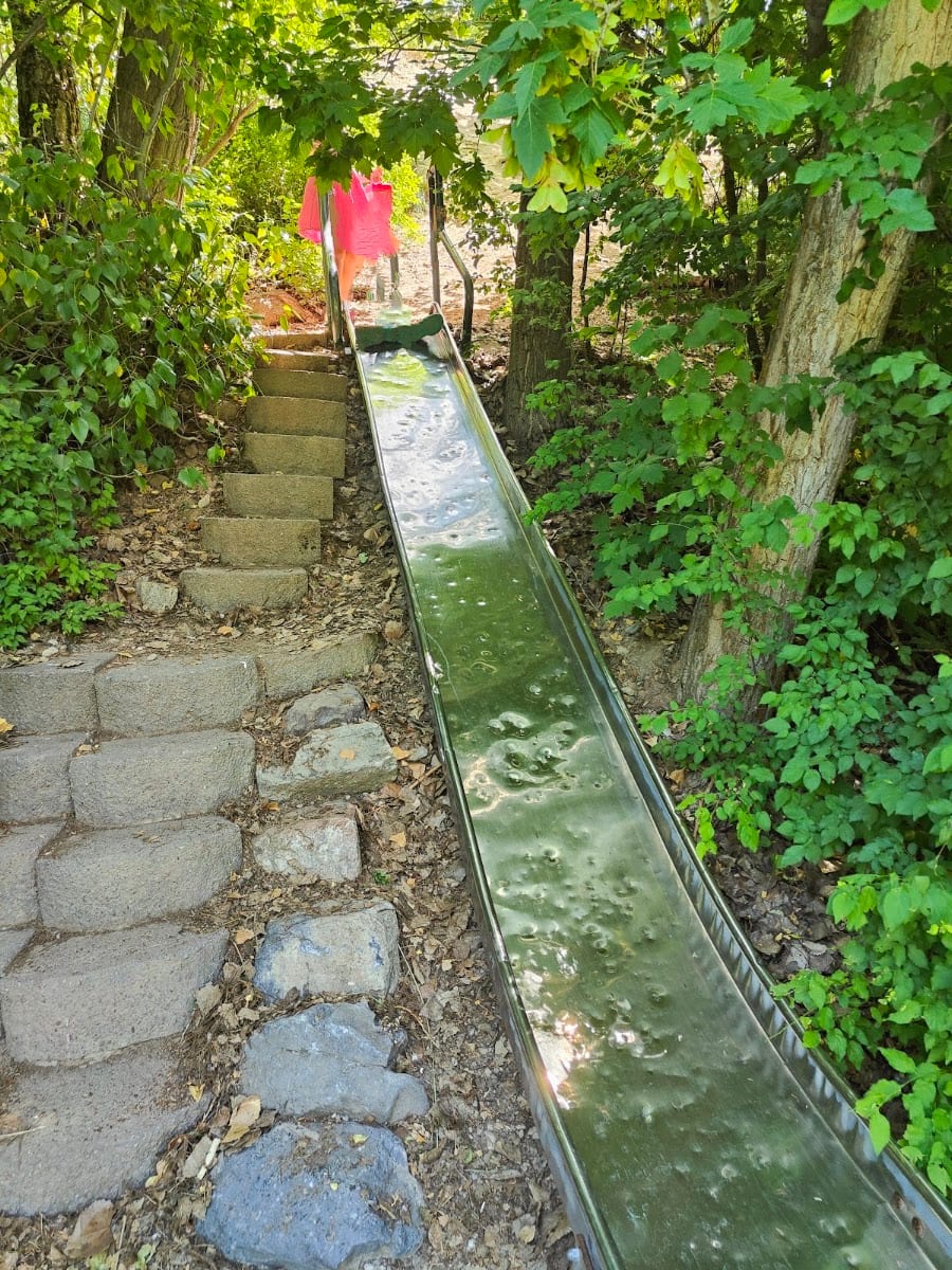 Lower Lion's Park