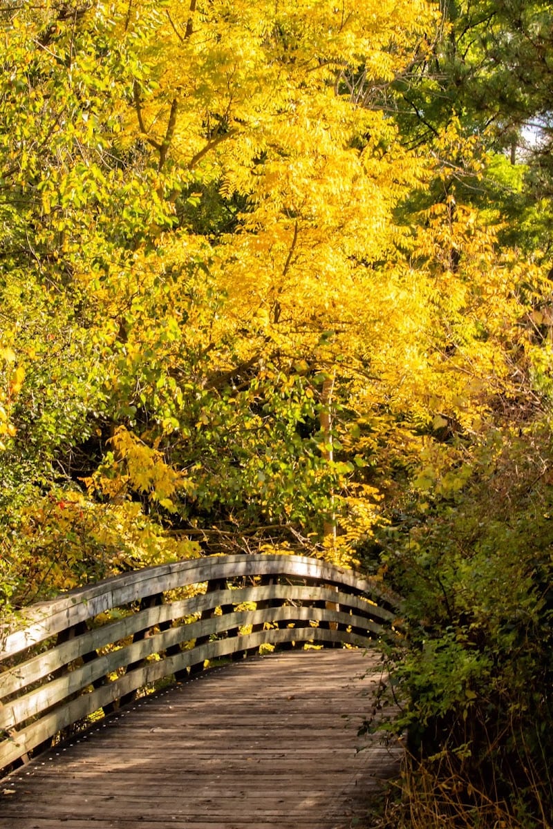 Betty Sutherland Trail Park