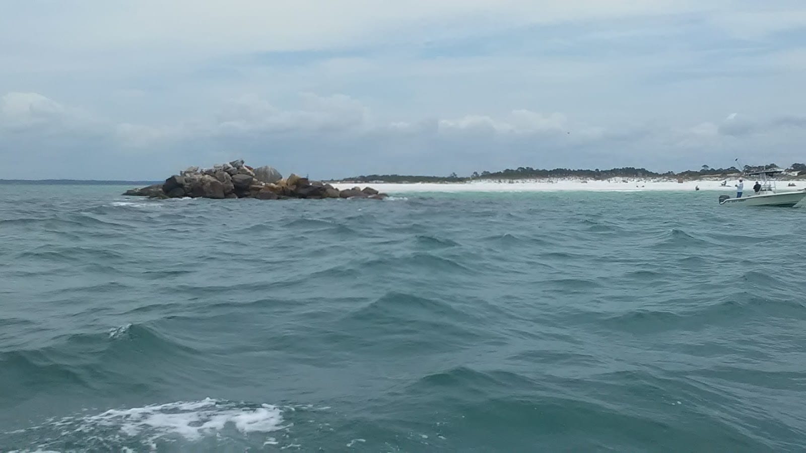 Panama City Beach Dolphin Tours & More, photo 3