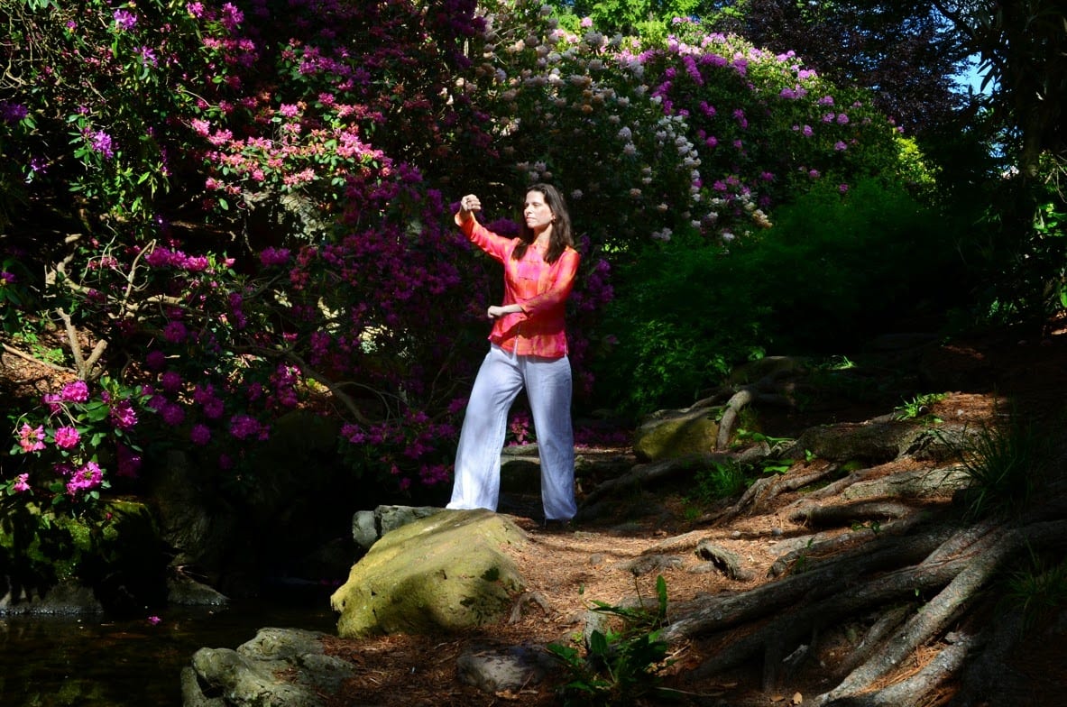 Qi Gong Institute of Rochester, photo 2