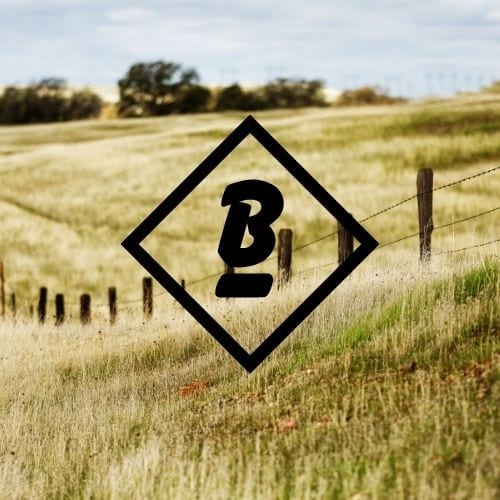 Diamond B Bar Construction LLC, photo 2