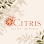 Citris Nail Spa the Heights