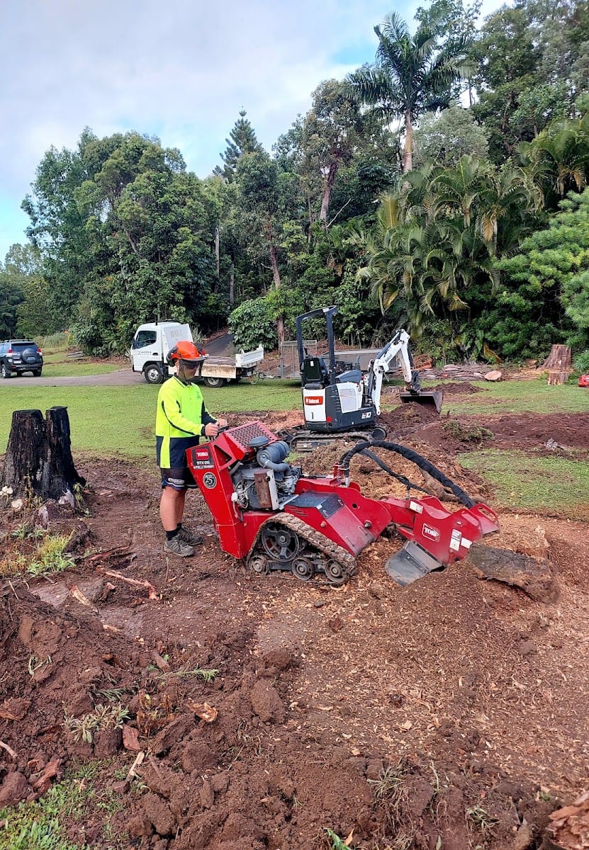 Axemen Stumpgrinding & Lawn Care, photo 2