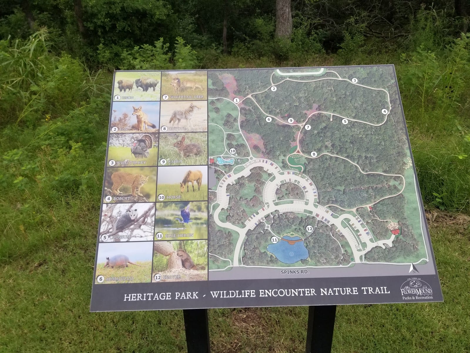 Bluebonnet Trail, photo 2