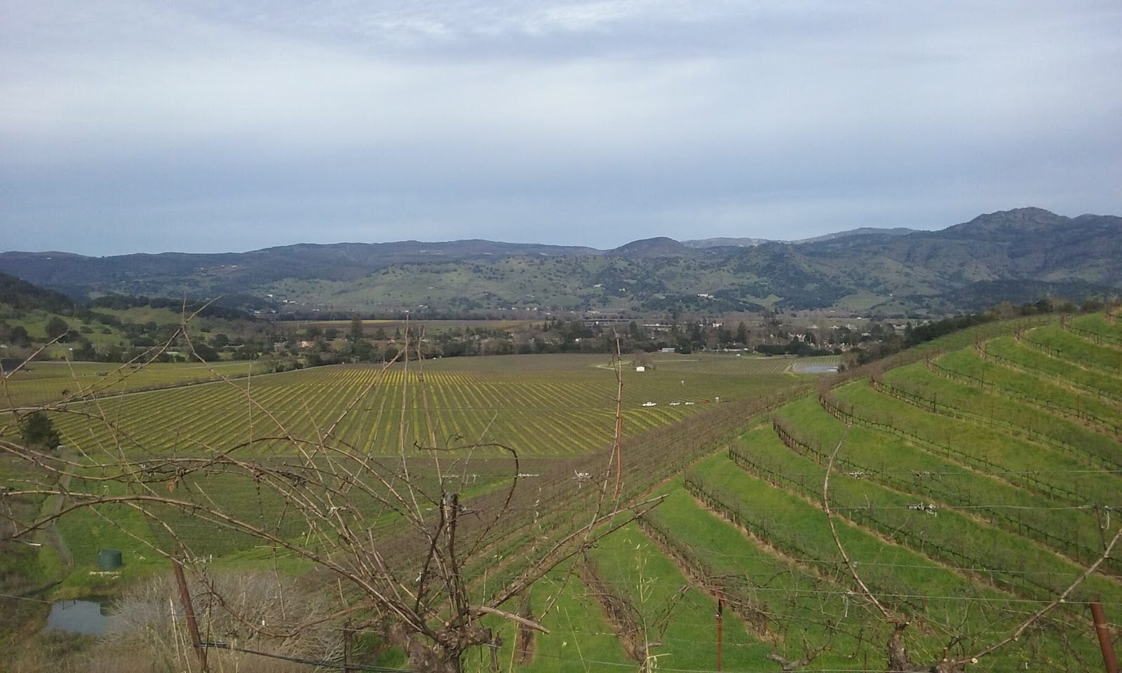 Rancho De Napa Mobile Estates, photo 2