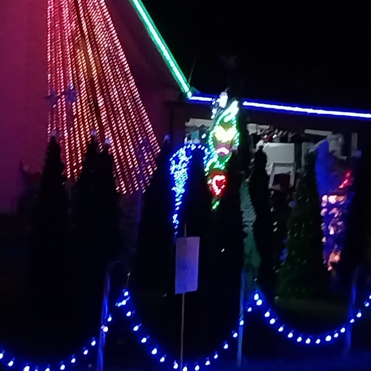 Doctor Wizard's Giant Musical Holiday Light Show