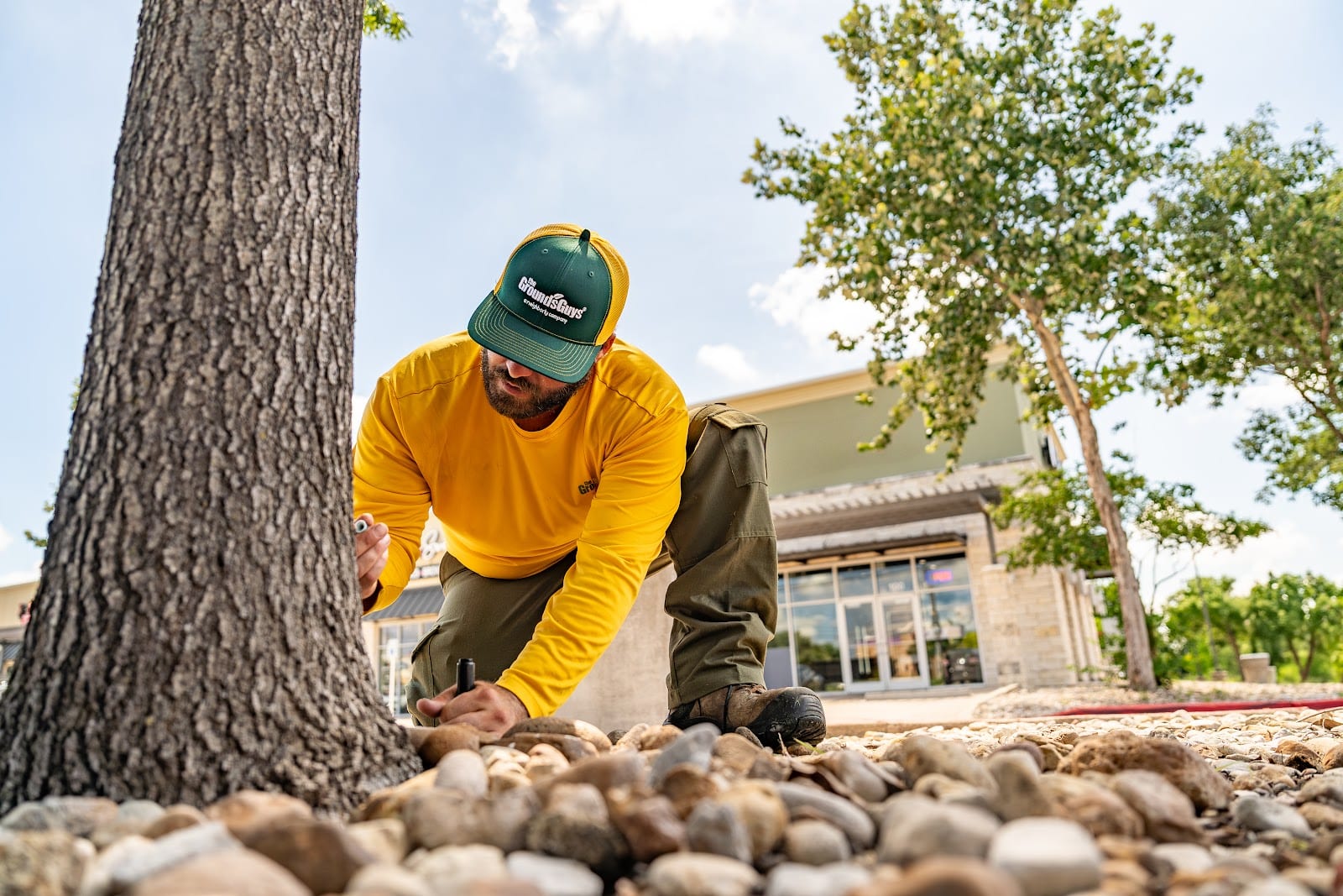 The Grounds Guys of Flower Mound - Highland Village, photo 2