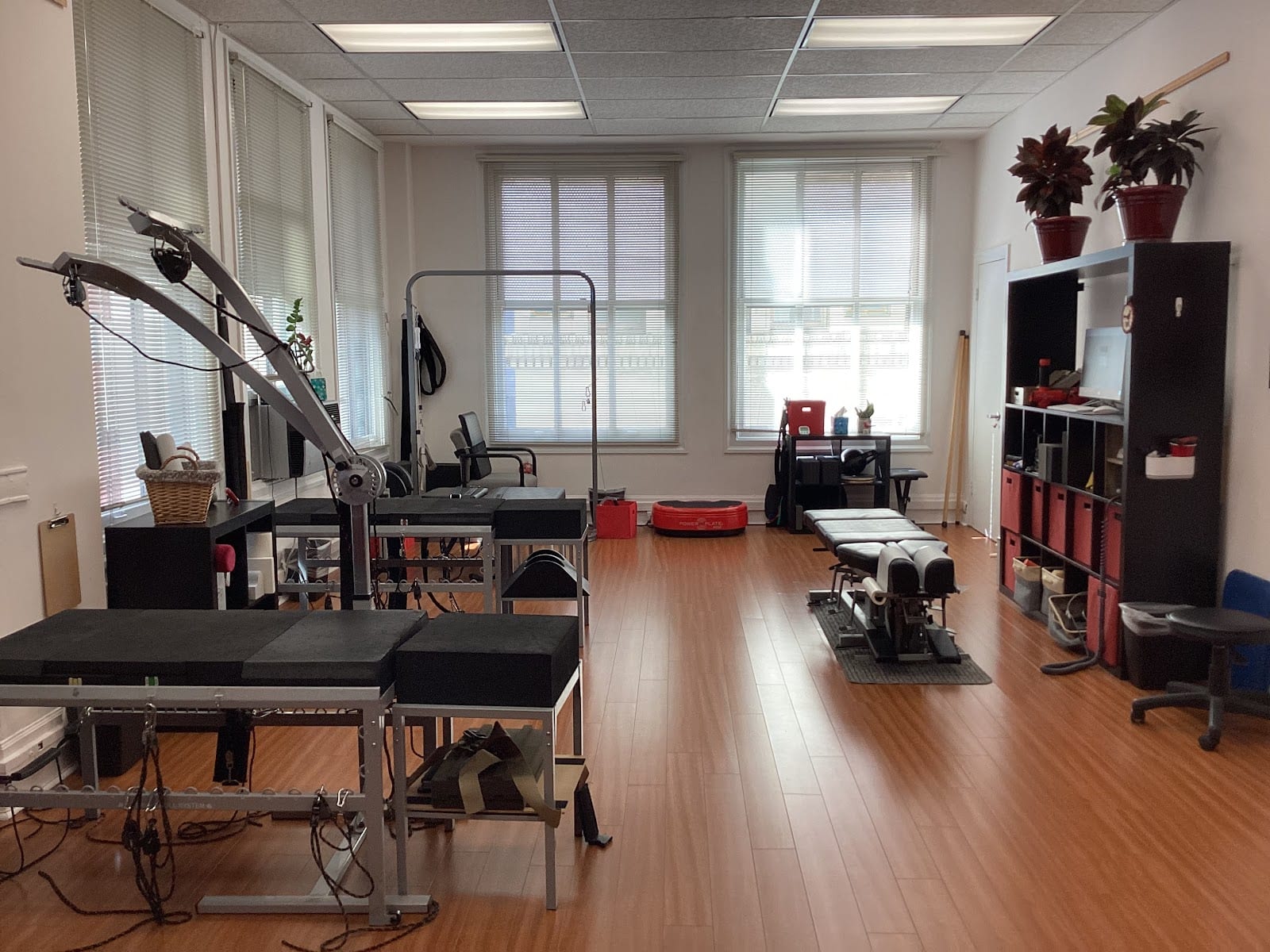 Cardinal Chiropractic, photo 2