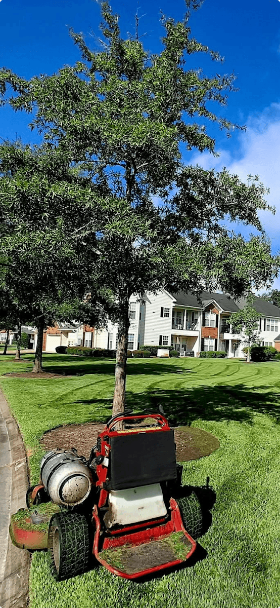 U.S. Lawns - Hampton Roads, photo 3