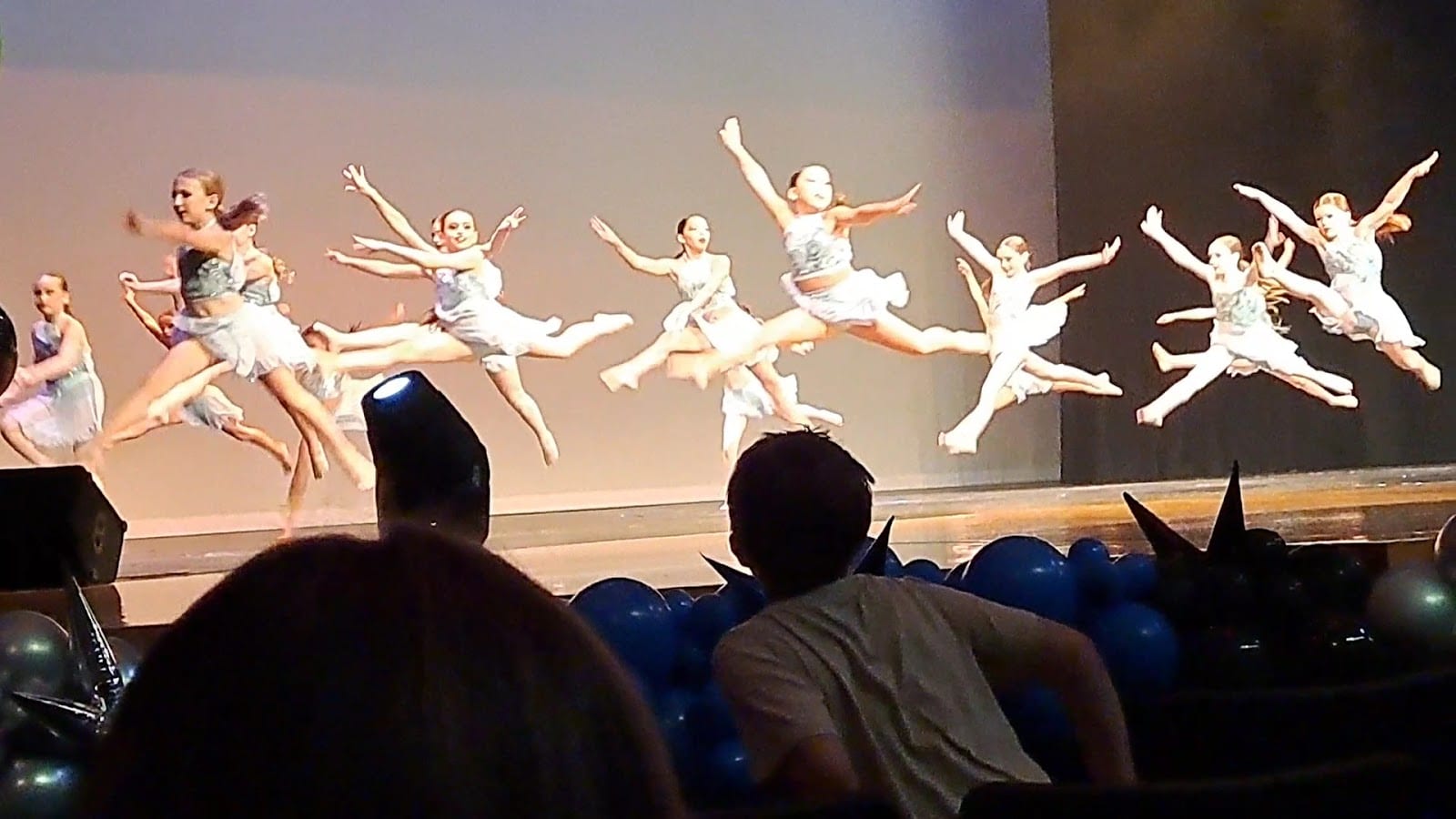 North Port Performing Arts Center, photo 2