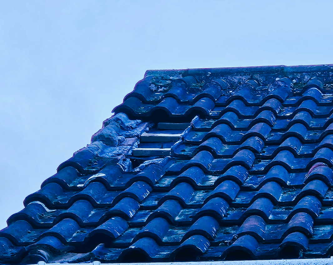 Carter Brothers Roof Repair, photo 2