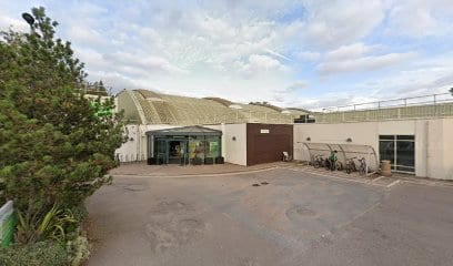 Chiropractic Clinic