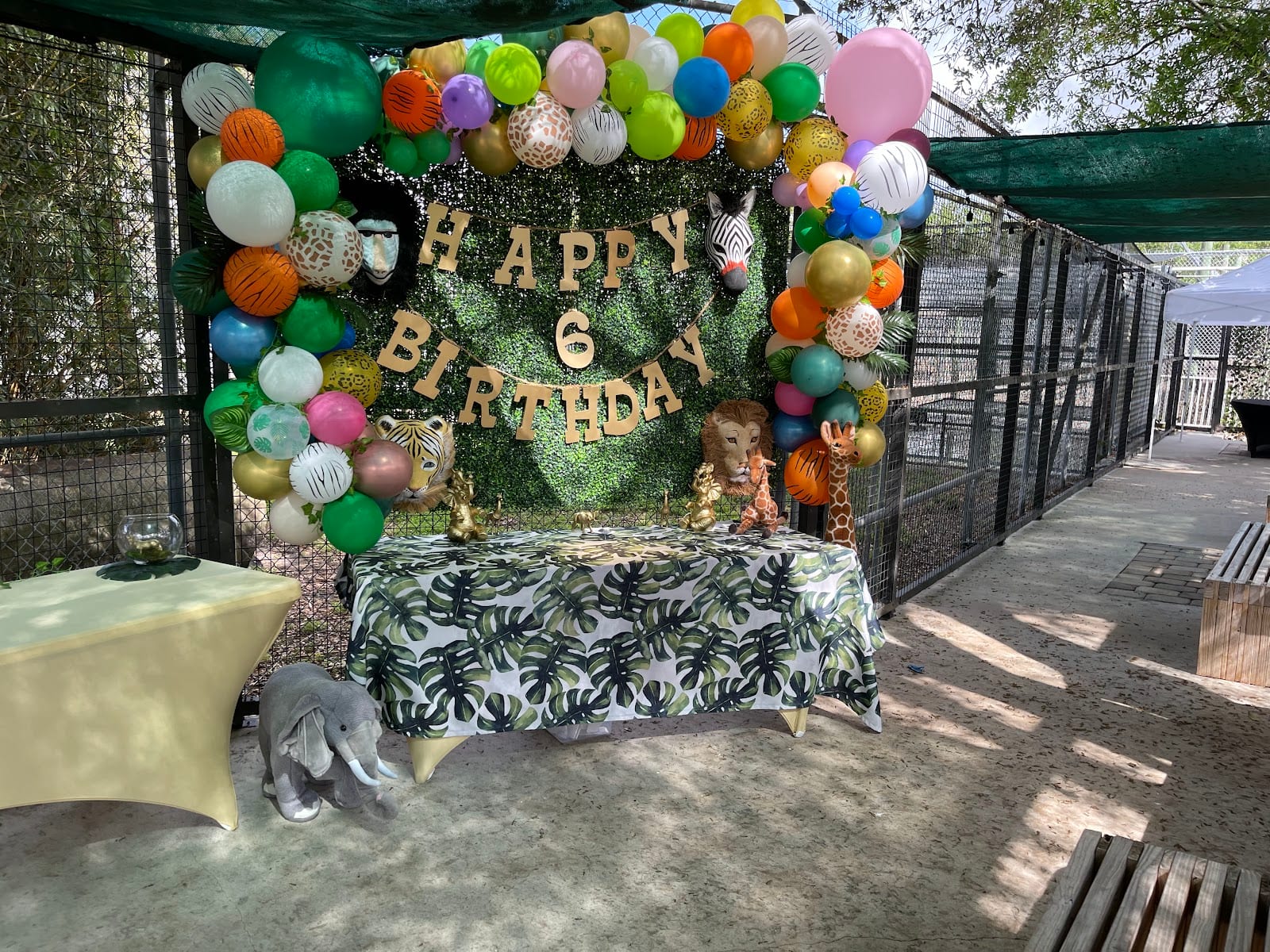 Fun Time Events LLC Face Painting ,Balloon Decor & Magic Mirror Photo Booth