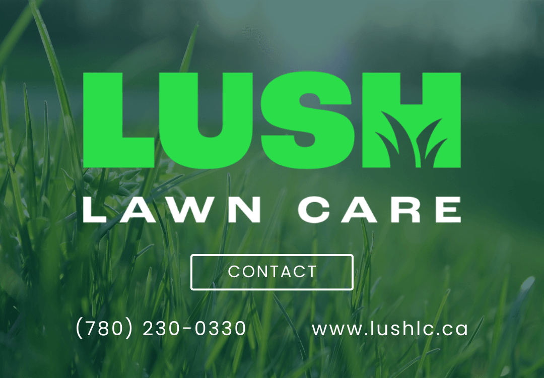 Lush Lawn Care, photo 2