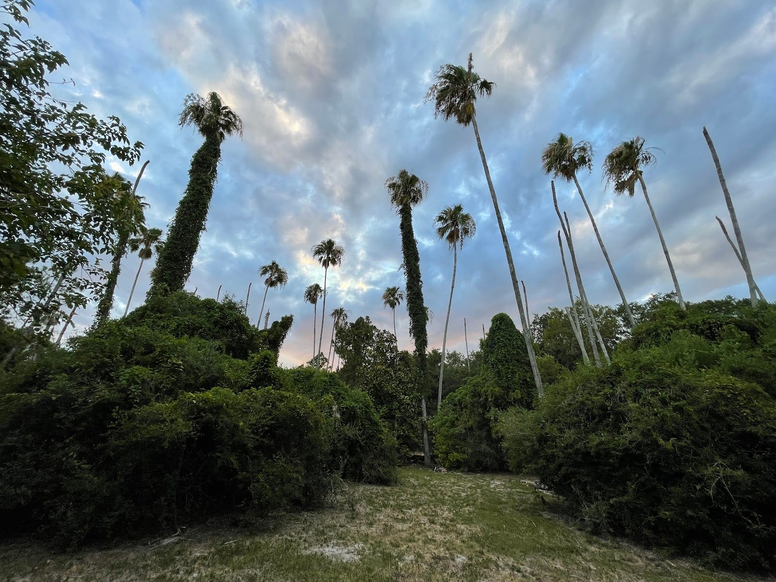 McKay Bay Nature Park