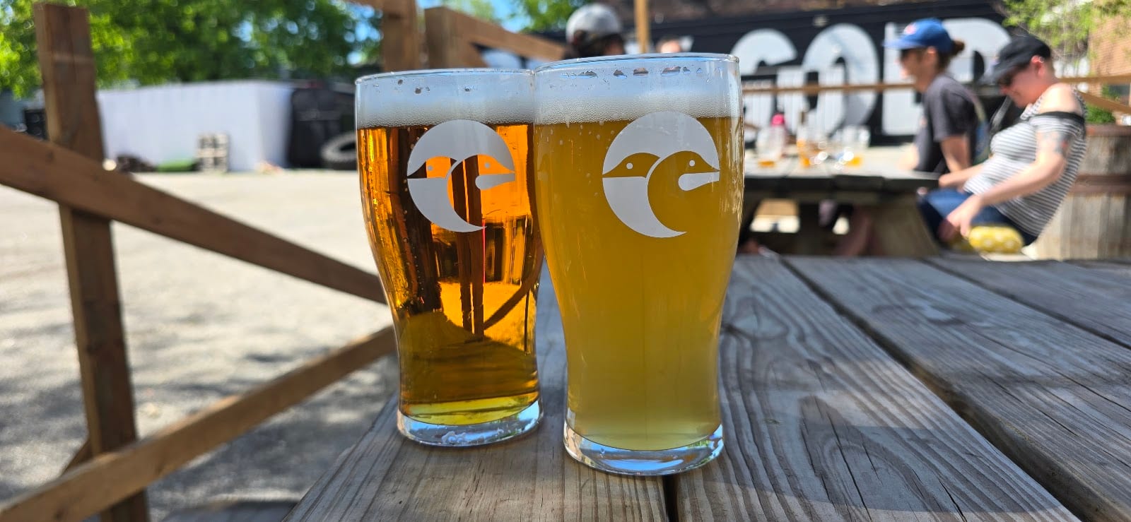 Two Loons Brewing