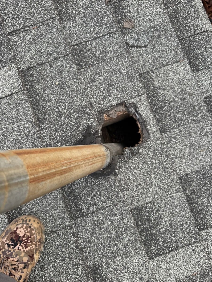 Quality pest control gta Richmond hill, photo 2