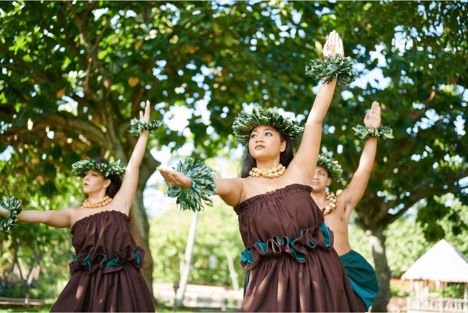 Aliʻi Lūʻau, photo 2