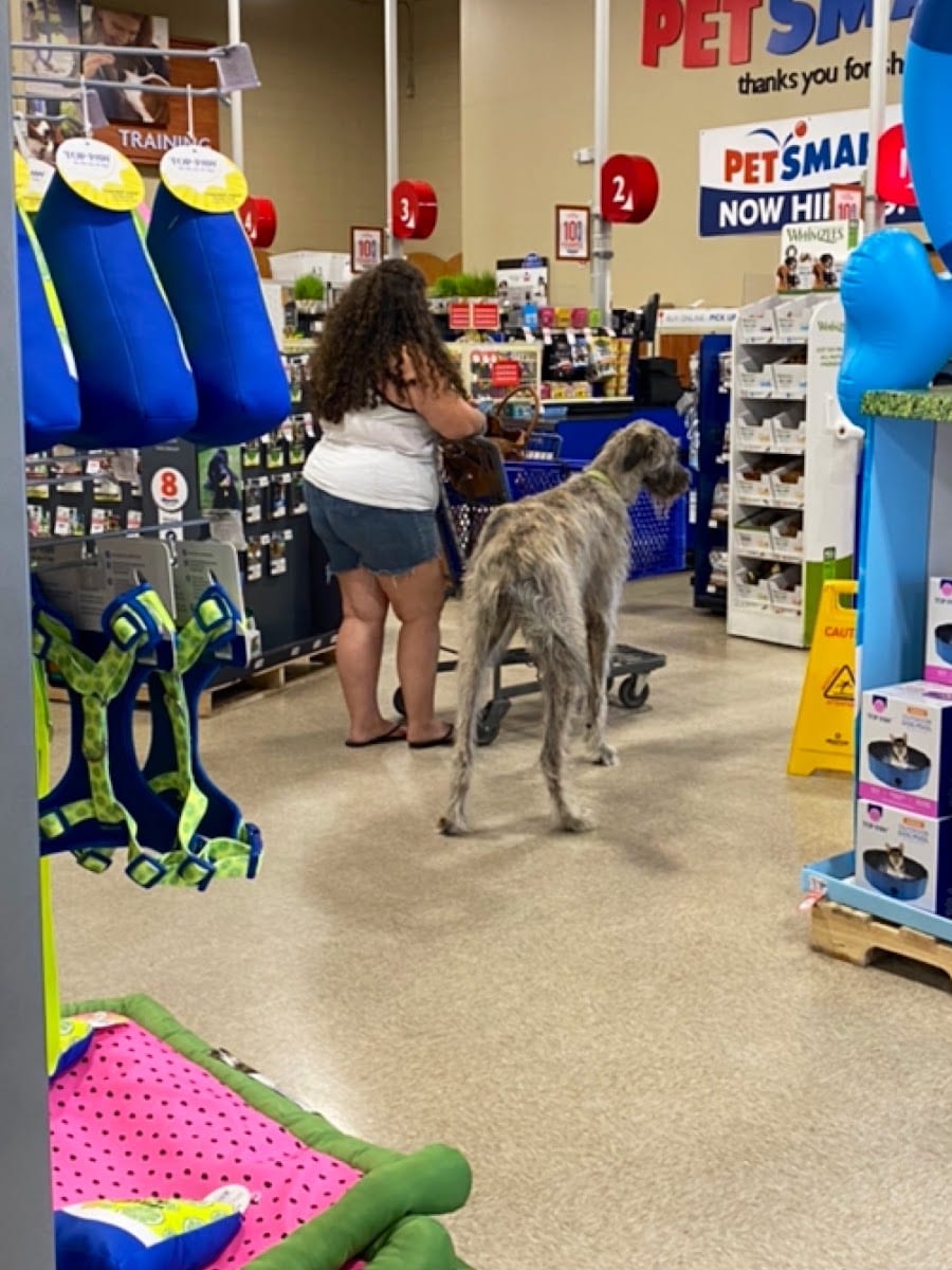 PetSmart