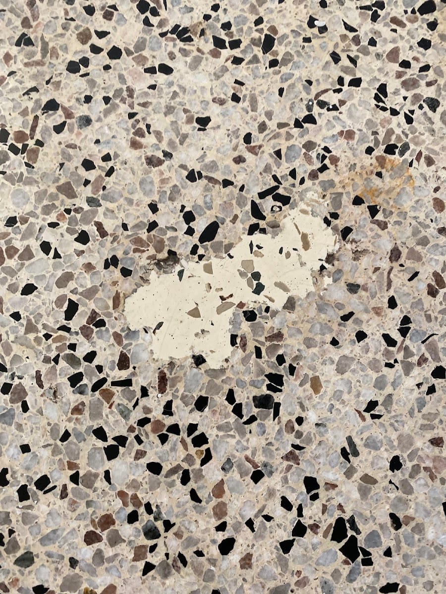 Rembrandt Surface Systems