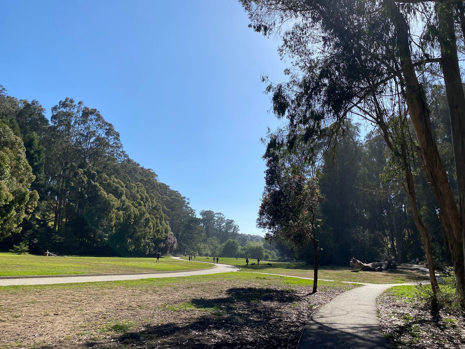 Pine Lake Park