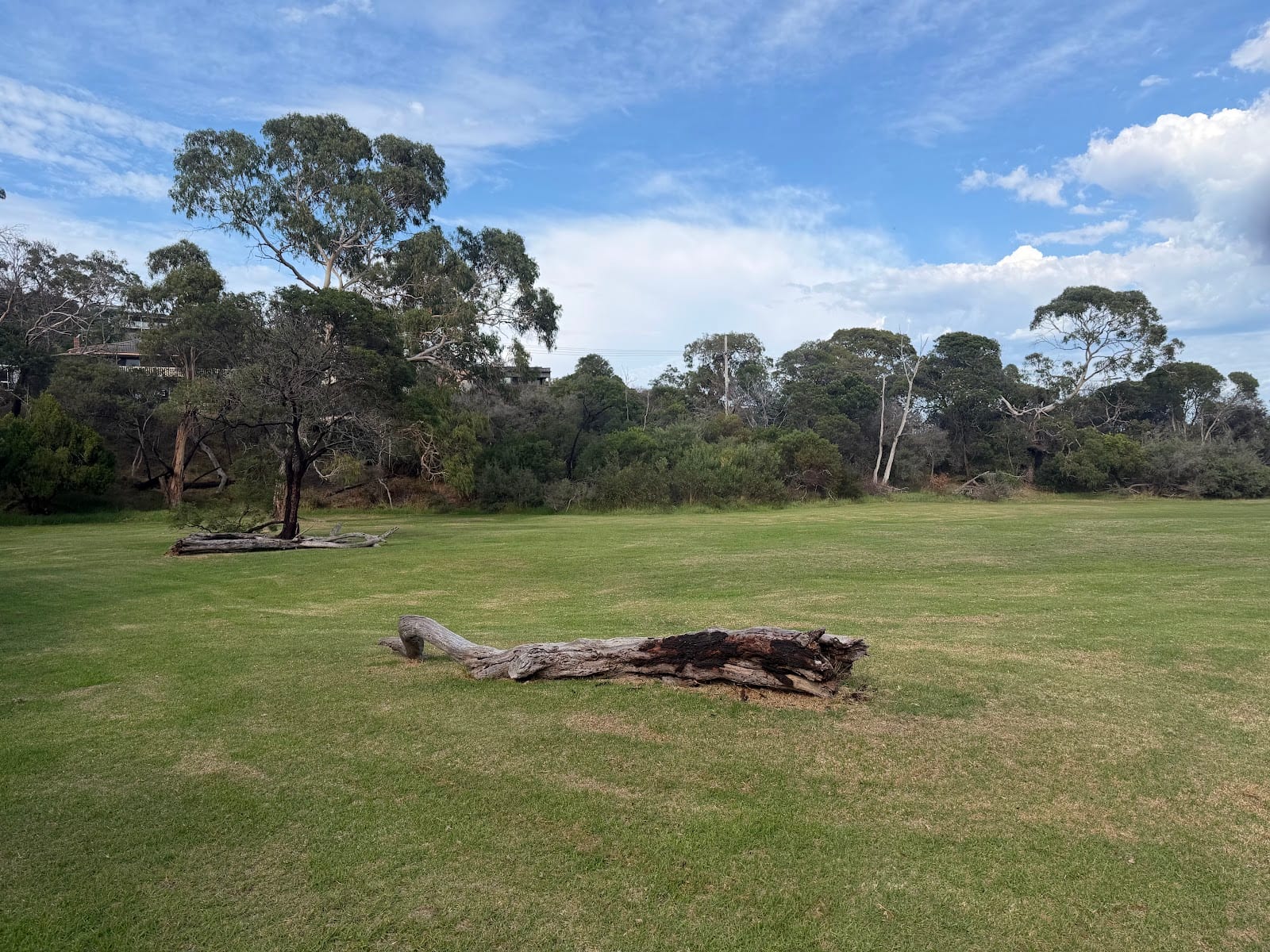 Benbenjie Reserve Dog Off Leash Area, photo 3